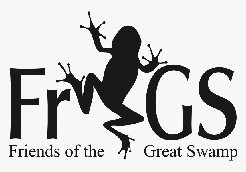 Transparent Frogs Png - Portable Network Graphics, Png Download, Free Download