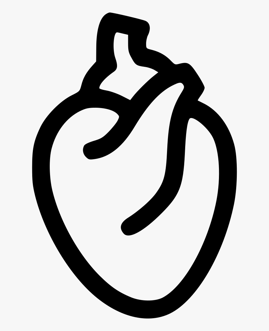 Heart Organ - Heart Organ Symbol Png, Transparent Png, Free Download