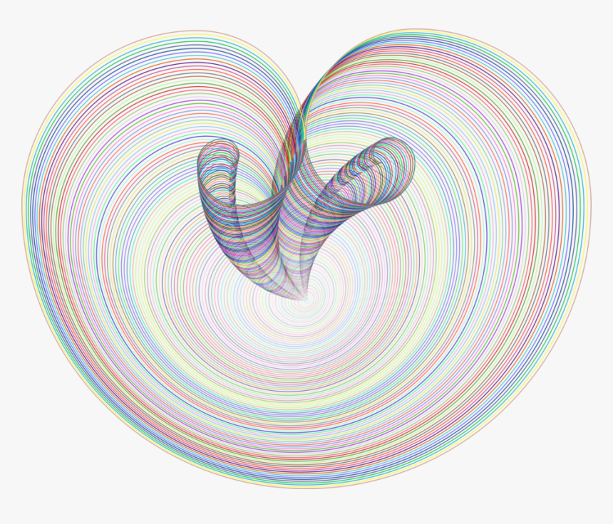 Nautilida,heart,organ - Heart Golden Ratio, HD Png Download, Free Download