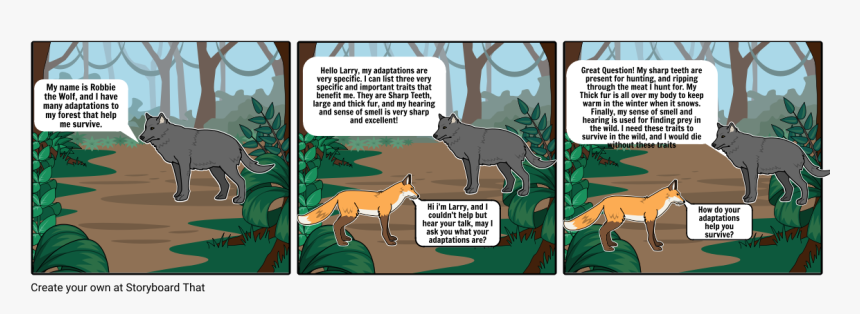 Storyboard On Western Lowland Gorillas, HD Png Download, Free Download