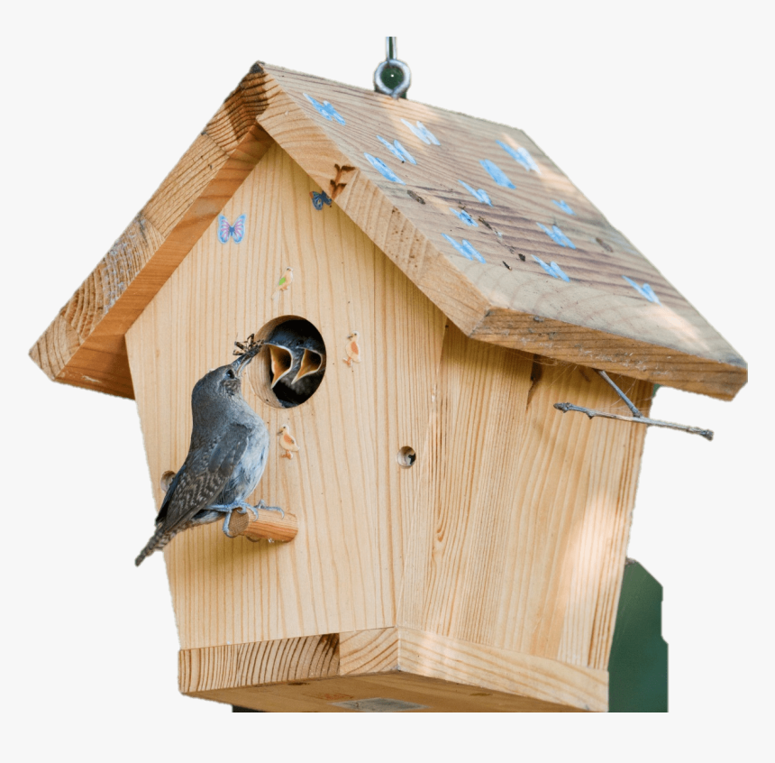 Do Birds Eat From Birdhouses, HD Png Download, Free Download