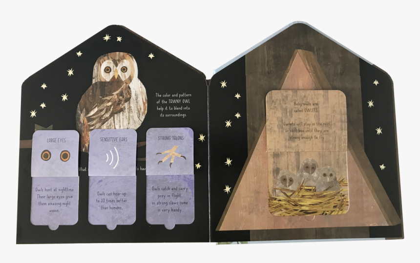 Bird House Libby Walden, HD Png Download, Free Download