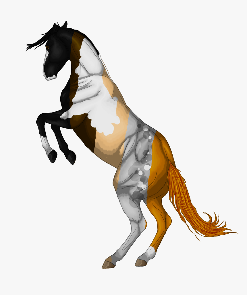 Horse Png Greyscale Free Use By Banner - Horse Rearing Transparent, Png Download, Free Download