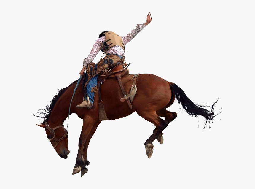 Cowboy On Horse Png , Png Download - Rodeo Horse Ride, Transparent Png, Free Download