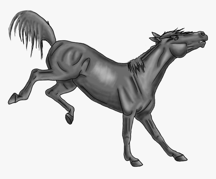 Bucking Horse Lineart Transparent, HD Png Download, Free Download