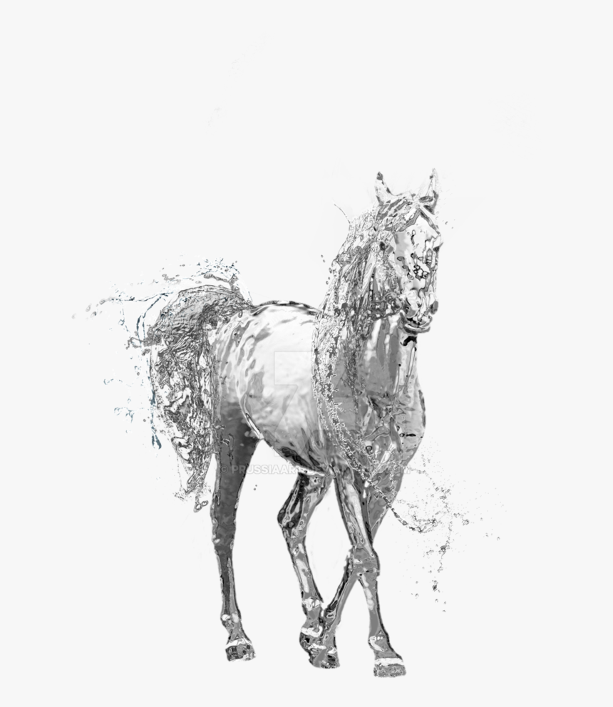 Water Horse Png Transparent Water Horse - Horse Drawing Transparent Background, Png Download, Free Download
