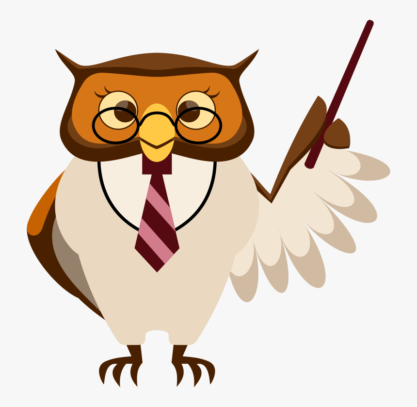 Did You Know Owl, HD Png Download, Free Download