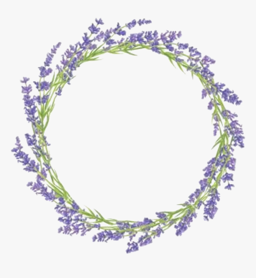 Transparent Lavender Flower Png - Lavender Clipart, Png Download, Free Download