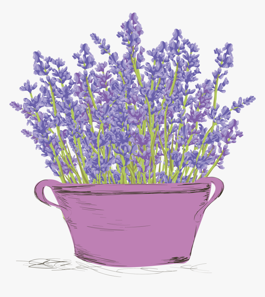 Lavender Flowers Vintage, HD Png Download, Free Download