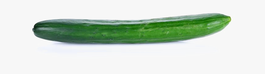 Single Cucumber Png Image With Transparent Background - Cucumber With No Background, Png Download, Free Download