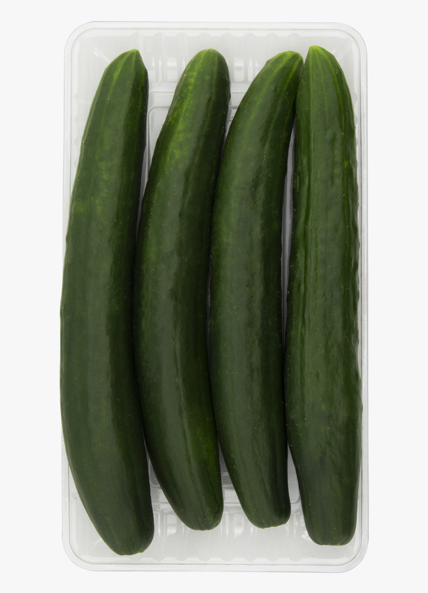 Pepino Japones, HD Png Download, Free Download