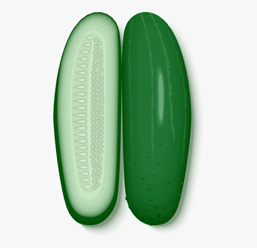 Cucumber, HD Png Download, Free Download