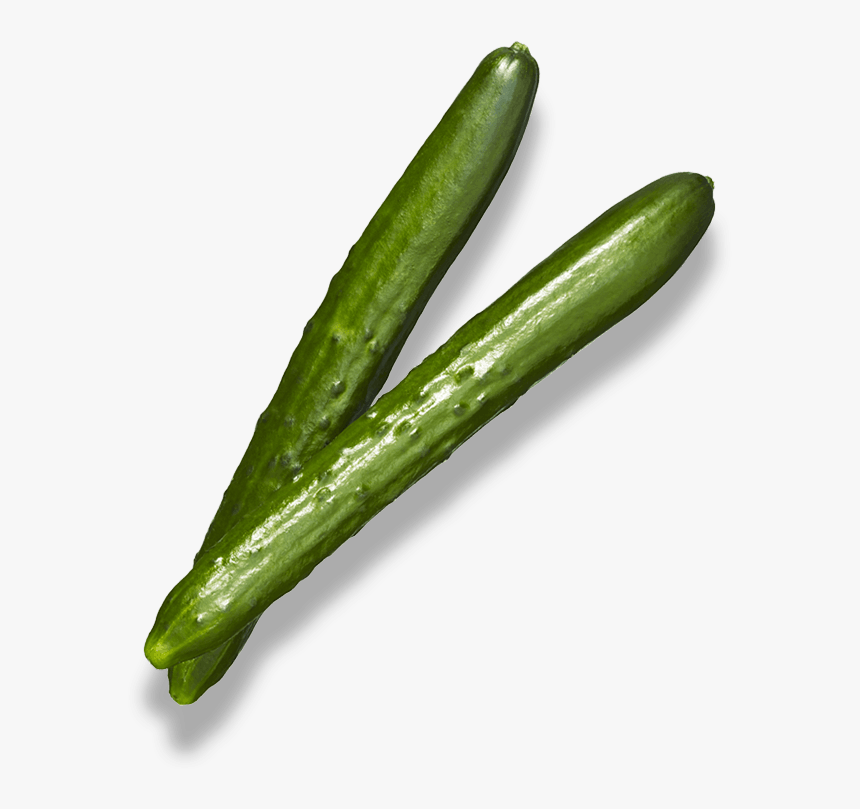 Cucumber, HD Png Download, Free Download