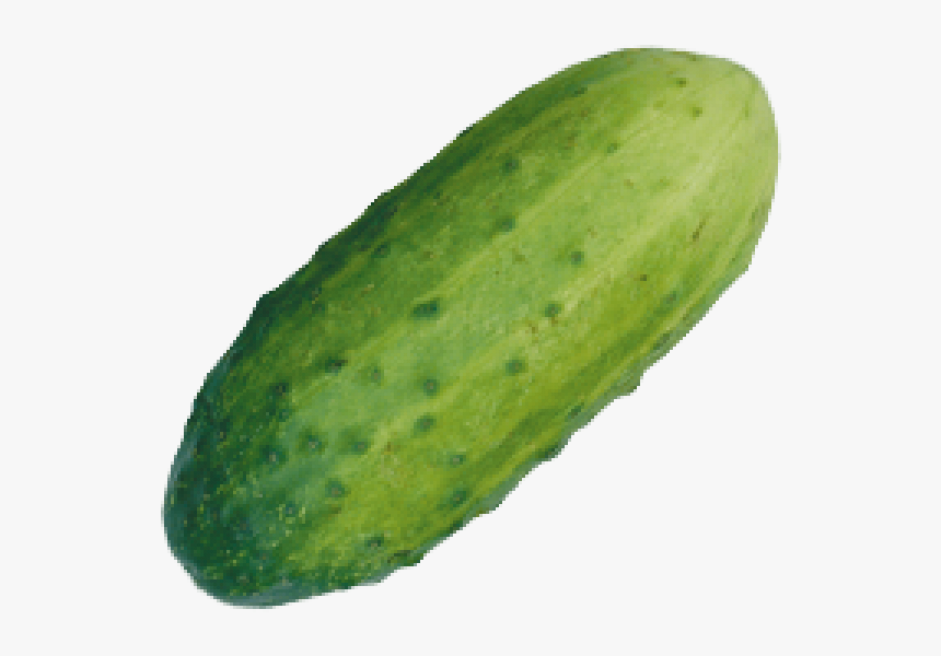 Gourd, HD Png Download, Free Download