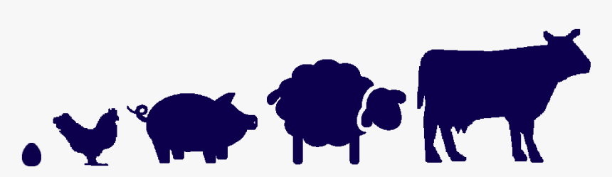 Sheep, HD Png Download, Free Download