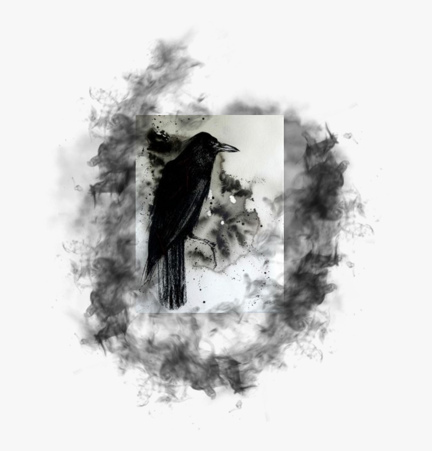 Transparent Raven Flying Png - Raven Queen Homebrewery, Png Download, Free Download