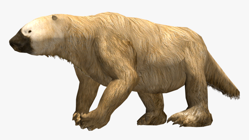 Jefferson's Ground Sloth Transparent, HD Png Download, Free Download