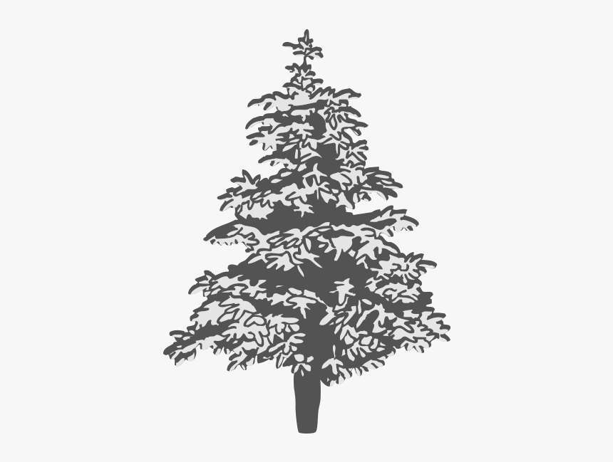 Christmas Tree, HD Png Download, Free Download