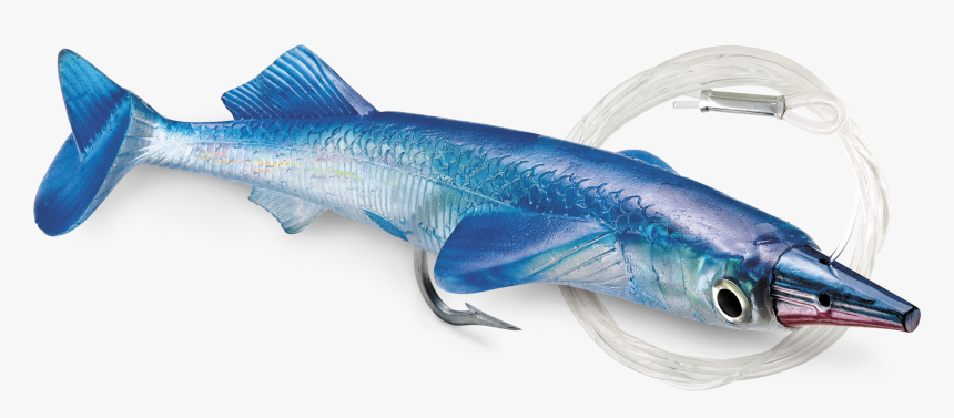 Billfish, HD Png Download, Free Download