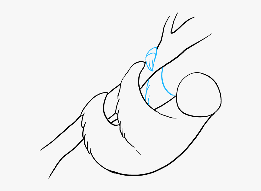 How To Draw Sloth - Line Art, HD Png Download, Free Download