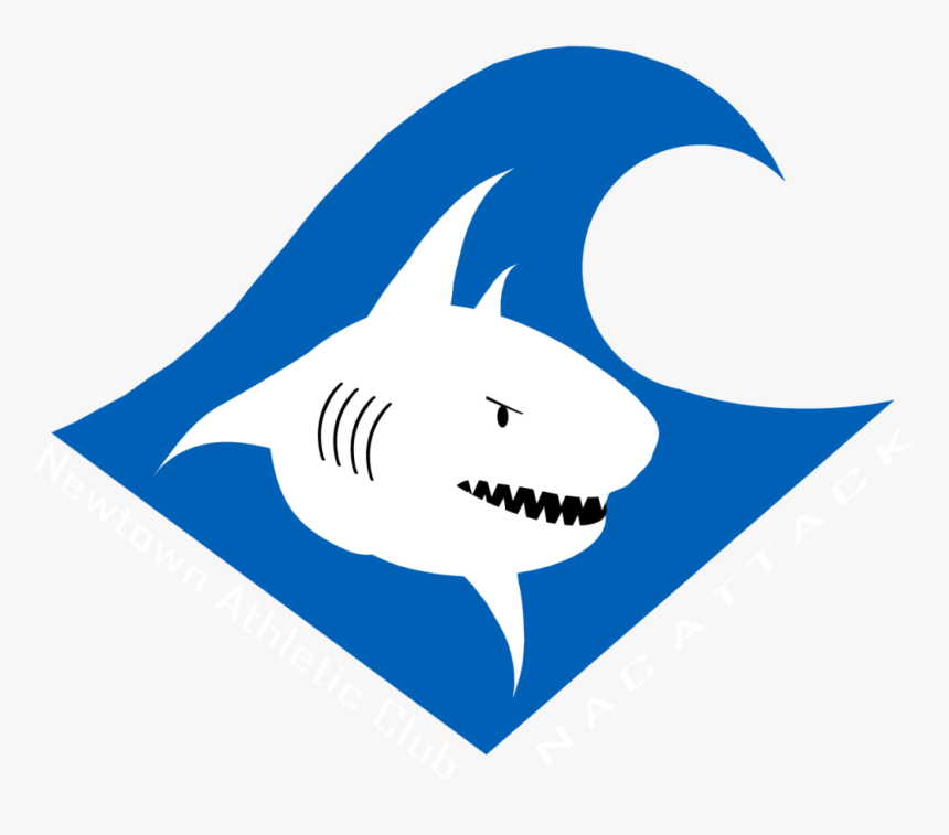 Great White Shark, HD Png Download, Free Download