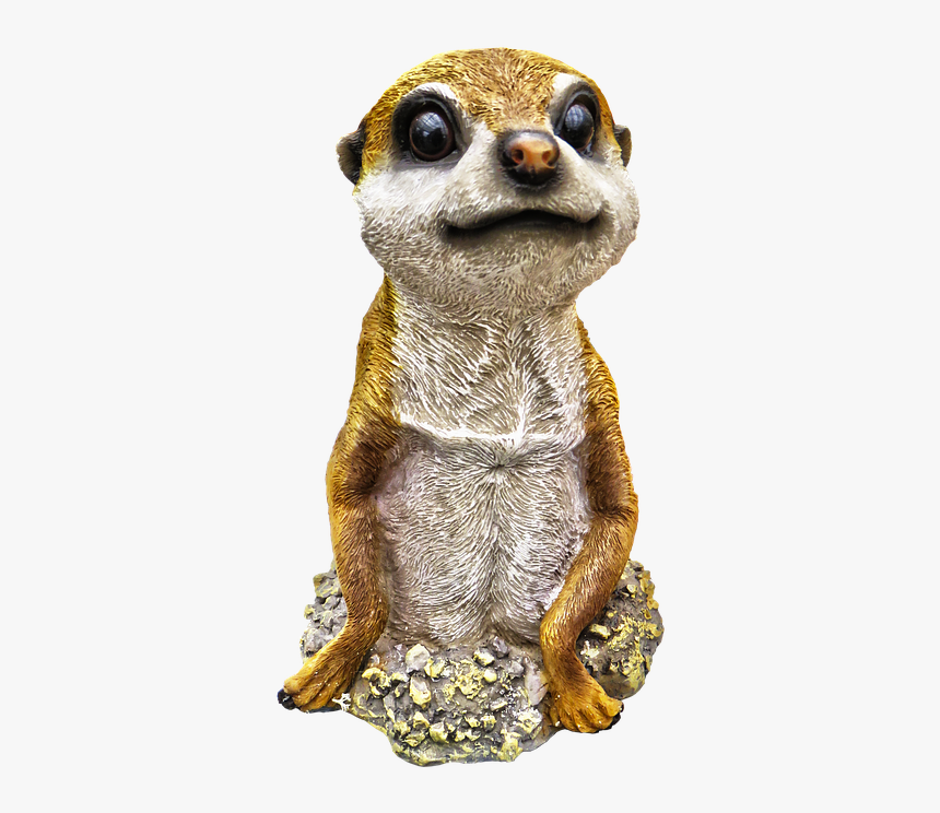 Meerkat, HD Png Download, Free Download