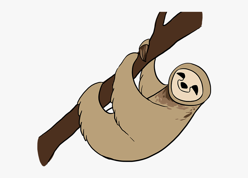 Step Drawing Tutorial How To Draw A Sloth Easy, HD Png Download, Free Download