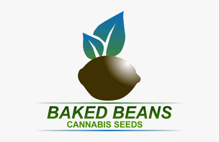 Bakedbeans Rough 300dpi Vector - Natural Foods, HD Png Download, Free Download