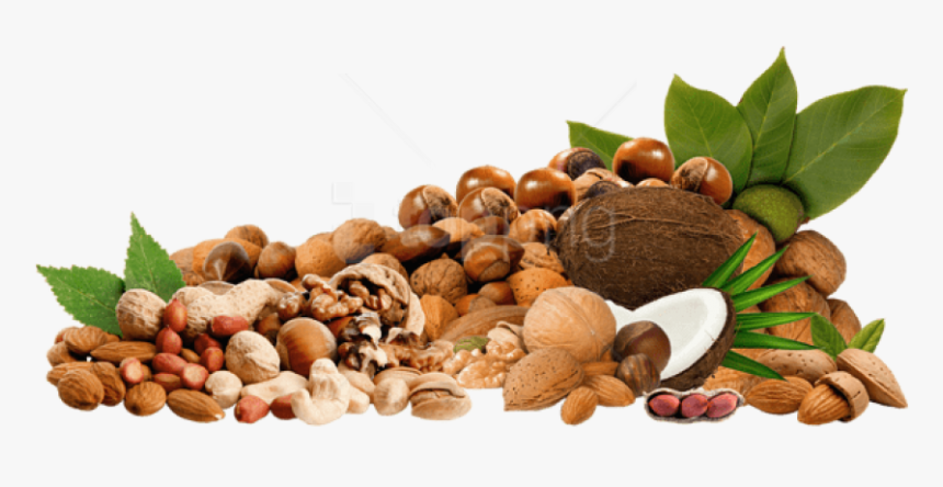 Tree Nuts Png, Transparent Png, Free Download