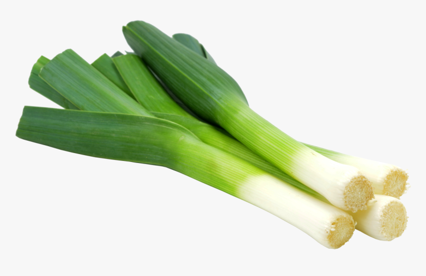 Garden Leek, HD Png Download, Free Download