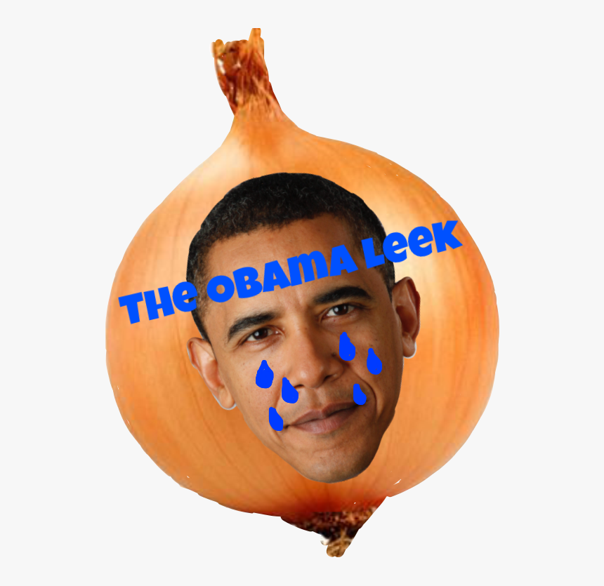 Pumpkin, HD Png Download, Free Download