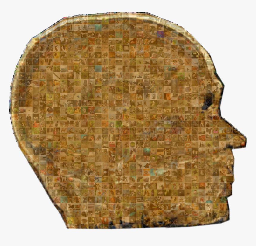 David Vivancos Imagenet Of The Brain Mindbigdata - Wood, HD Png Download, Free Download