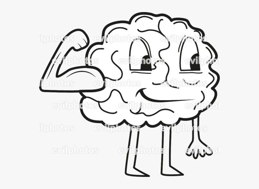 Brain Drawing Vector And Stock Photo - Brain Drawing, HD Png Download, Free Download