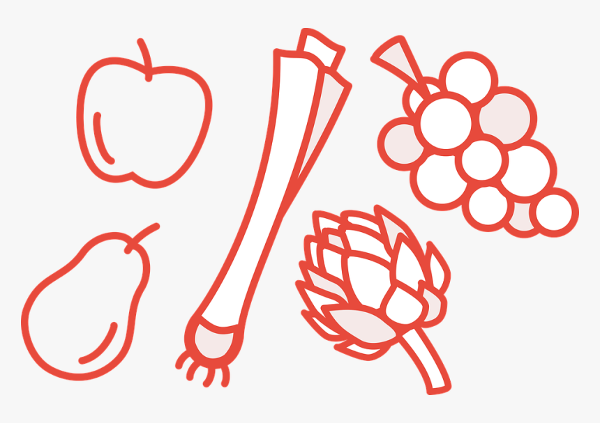 Apple, Pear, Vine, Grape, Artichoke, Leek, Food, Fresh - ต้น หอม ลาย เส้น, HD Png Download, Free Download