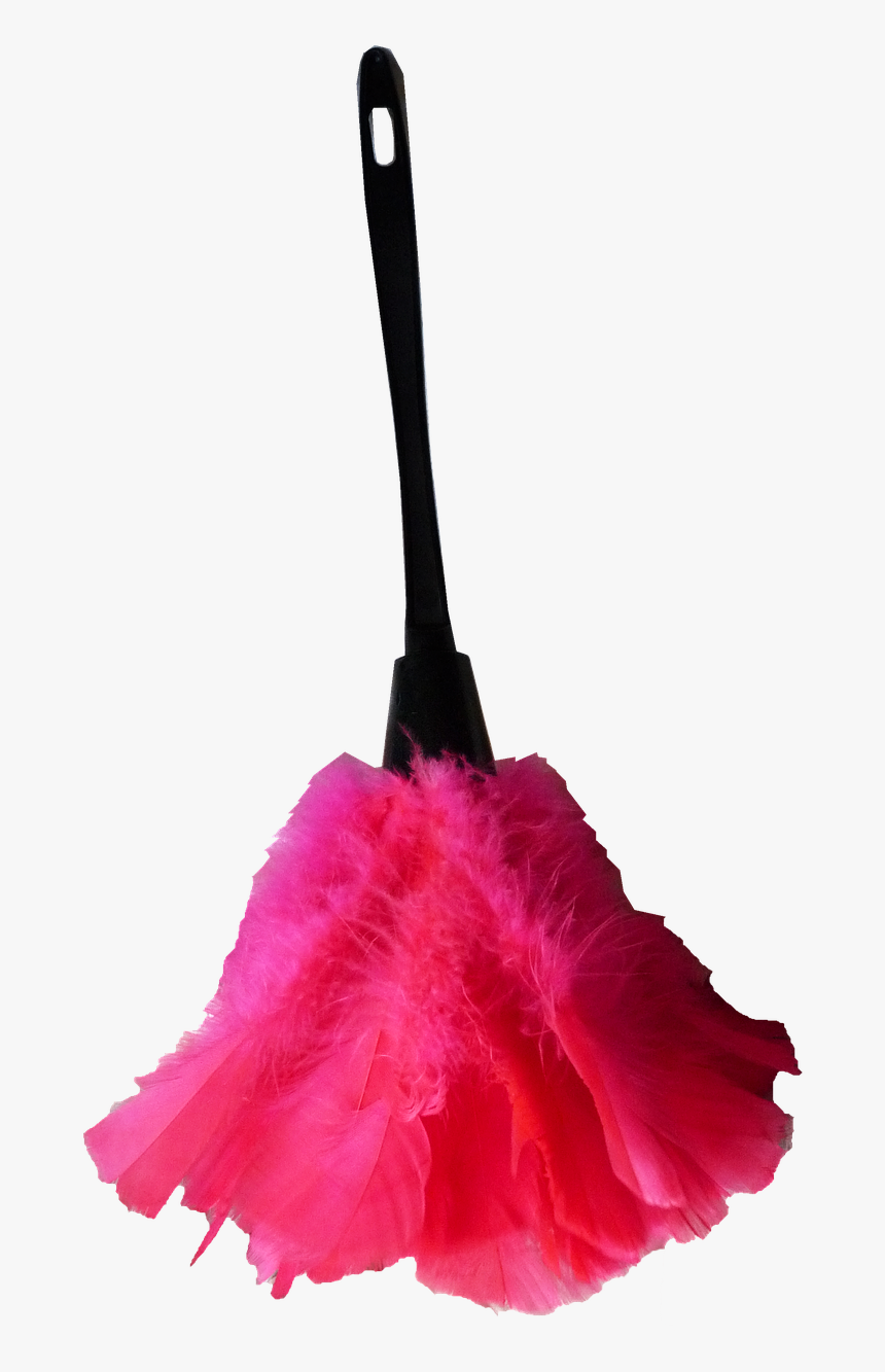 Feather Duster Housework Cleaning Free Photo - Thing To Remove Dust, HD Png Download, Free Download