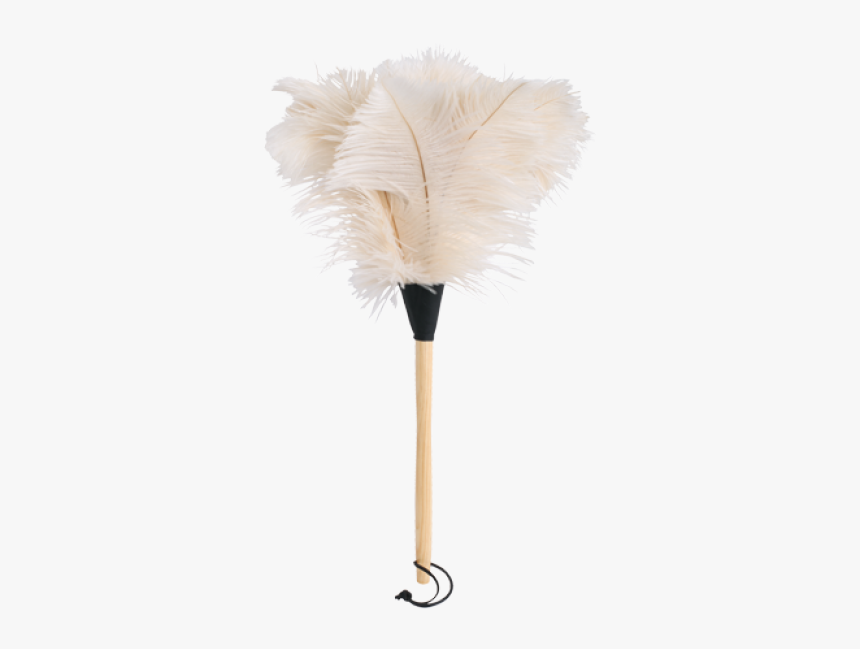 Redecker Ostrich Feather Duster White 50cm"
 Title="redecker - Still Life Photography, HD Png Download, Free Download