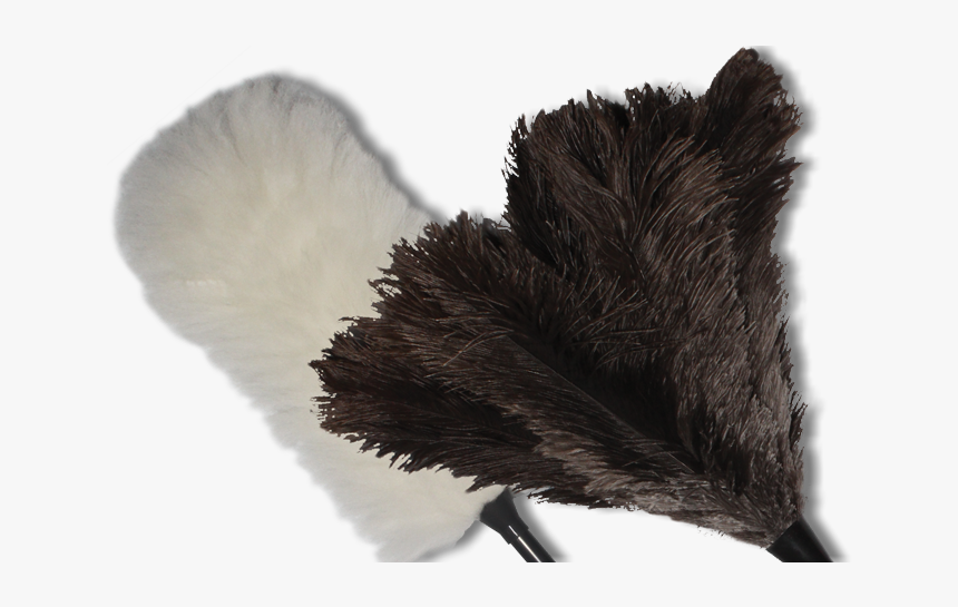 Fur Clothing, HD Png Download, Free Download