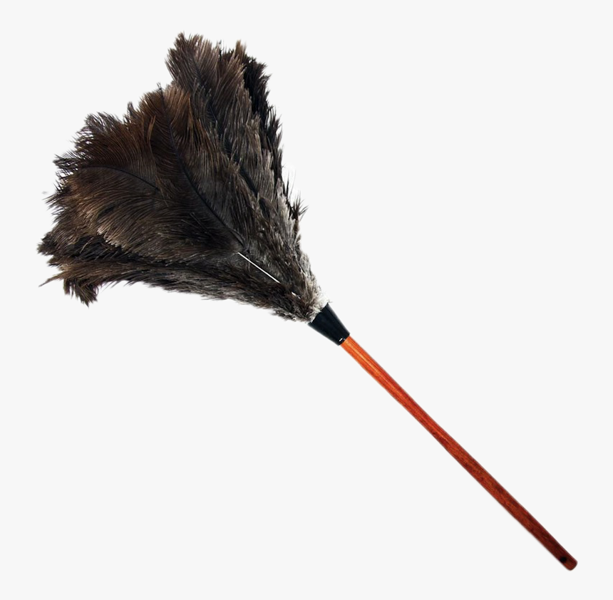 #duster #featherduster #housework #cleaning - Ostrich Feather Duster Png, Transparent Png, Free Download