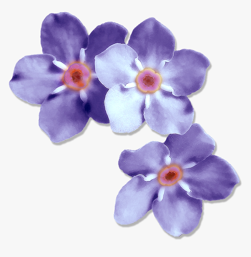 Transparent Forget Me Not Png - Artificial Flower, Png Download, Free Download