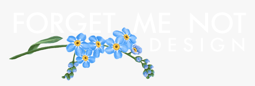 Picture - Forget-me-not, HD Png Download, Free Download