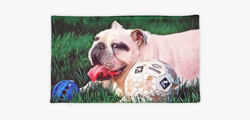 Pug, HD Png Download, Free Download