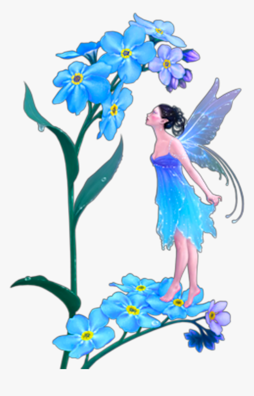 Forget Me Not Fairy - Transparent Fairy Png, Png Download, Free Download