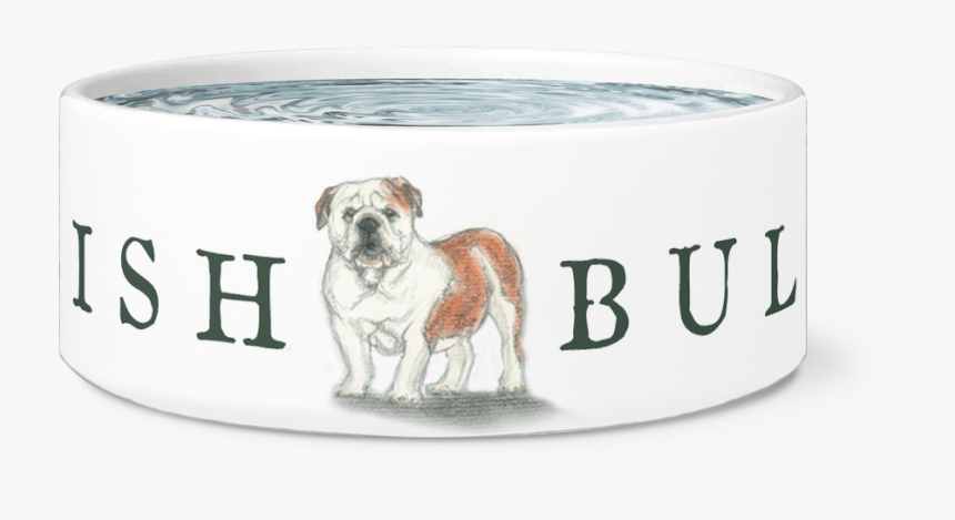 English Bulldog Bowl - Olde English Bulldogge, HD Png Download, Free Download