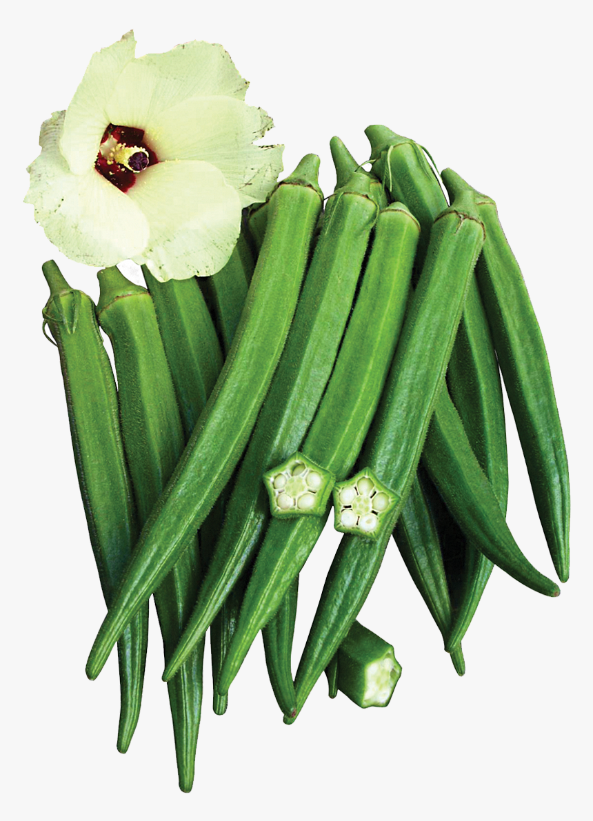 Okra Variety In Many Major Markets - Okra, HD Png Download, Free Download