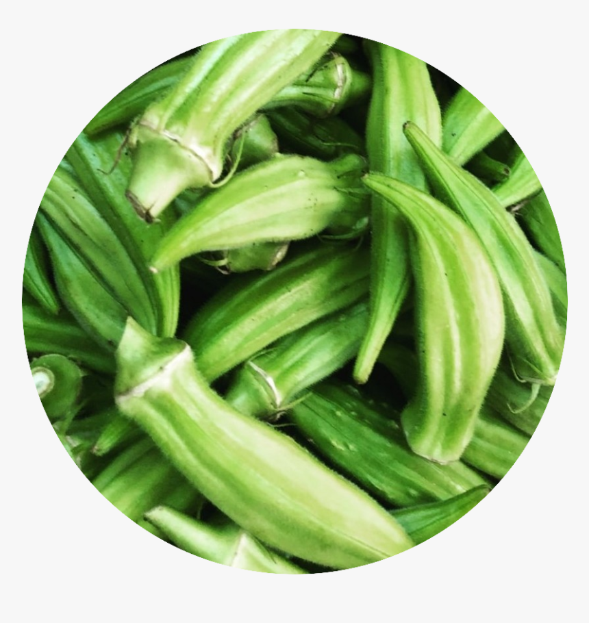 Okra, HD Png Download, Free Download