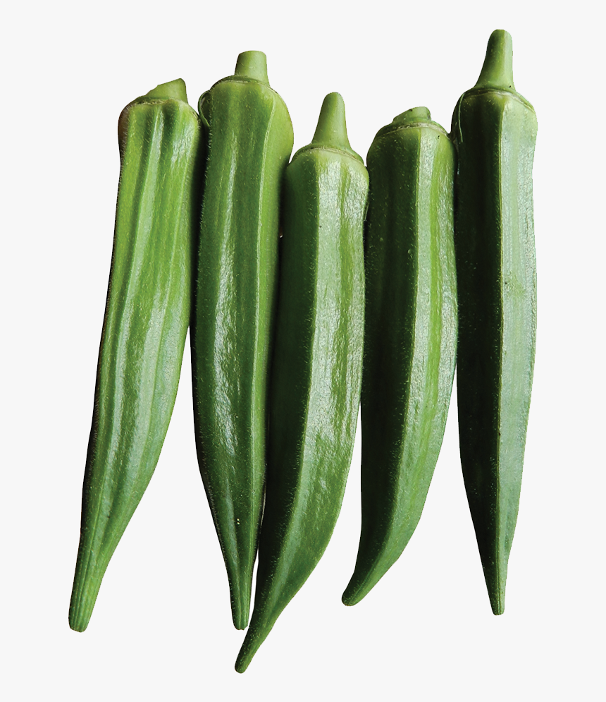 Okra, HD Png Download, Free Download