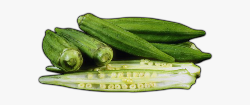 Okra Clipart Transparent - Printable Picture Of Okra, HD Png Download, Free Download
