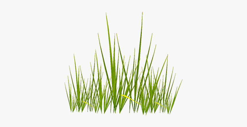 Alpha Grass Texture Png, Transparent Png, Free Download