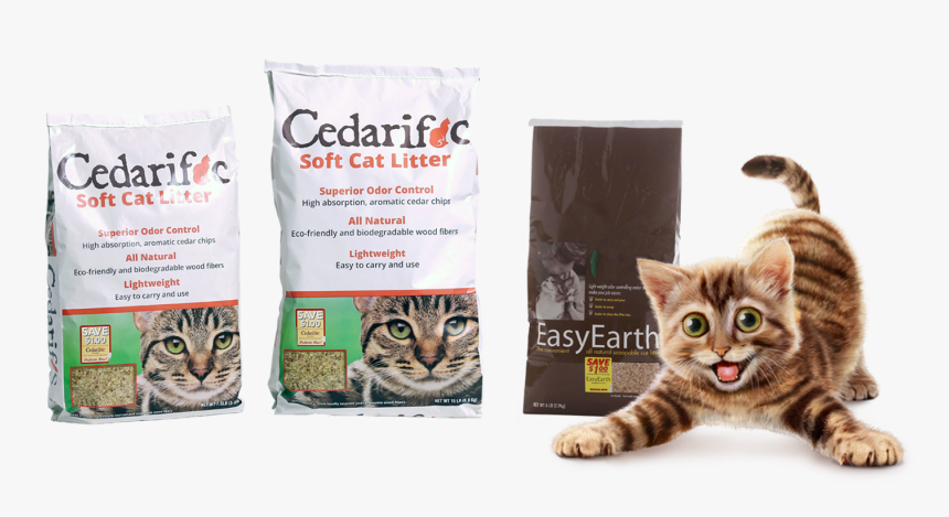 Cedric The Family Cat"s Favorite Cat Litter - Using Cedar Chips As Cat Litter, HD Png Download, Free Download