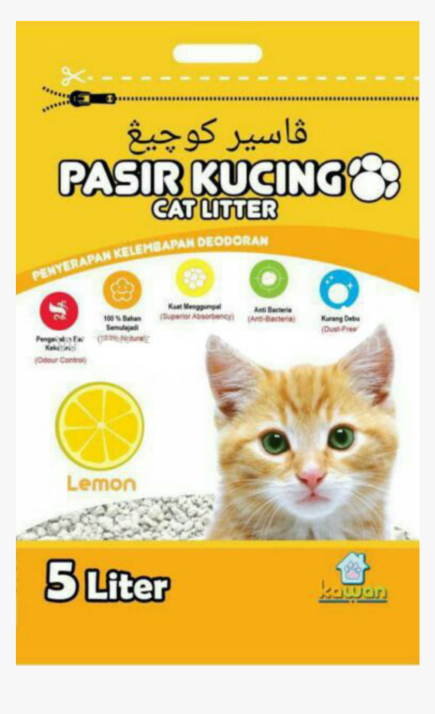 Picsart 10 21 - Cat, HD Png Download - kindpng